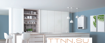 Настенный газовый котел Thermex Andromeda HM11