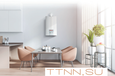 Настенный газовый котел Thermex EuroElite F20